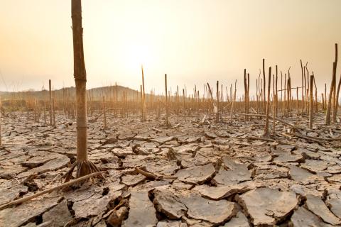 Deréglement climatique